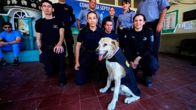 Cartucho, el perro con jerarquía de sargento, que es asunto de Estado