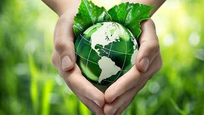La hora de la Naturaleza: Día Mundial del Medio Ambiente