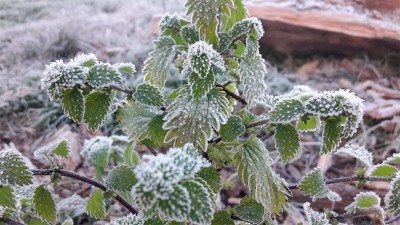 Alertan por la llegada de una ola de frío polar que afectará a todo el país