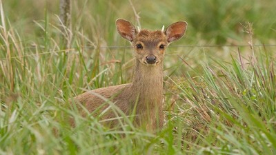 El gobierno provincial apoya el desarrollo de las Áreas Naturales Protegidas