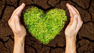 7 de julio: Día internacional de la conservación del suelo