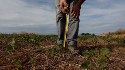 Estiman que habrá mayor probabilidad de que llegue La Niña: la explicación