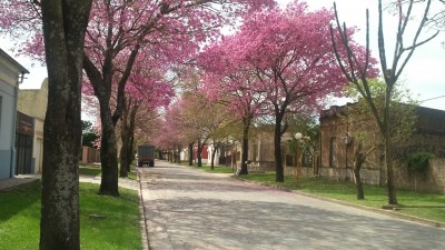 Habilitaciones y obras en aldea Protestante 