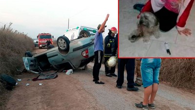 Vuelco, dos personas rescatadas y una mascota perdida: Cómo fue el reencuentro