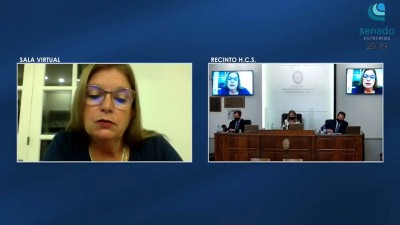 Aprobaron la desafectación y cesión del Campo Sarmiento