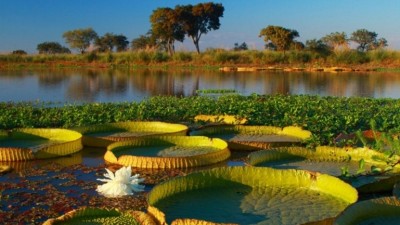 Ley de humedales, un debate abierto 