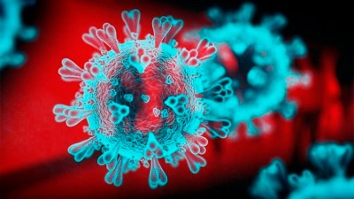 China halló partículas de coronavirus en alitas de pollo importadas desde Brasil