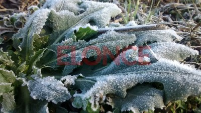 La intensa ola polar comenzó a cubrir el país: Cuándo llegará a Entre Ríos