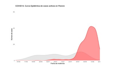 El COES emitió una alerta sanitaria por la situación epidemiológica en Paraná