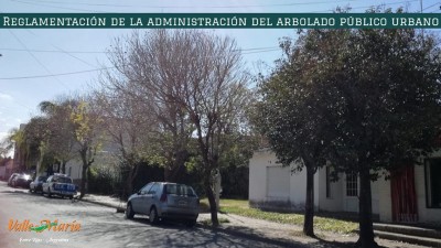 Reglamentación de la administración del arbolado público urbano
