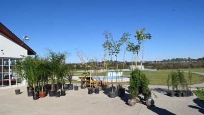 Plan de paisajismo en los terrenos del predio termal