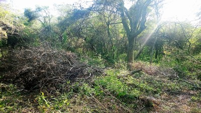 La Secretaría de Ambiente realizó inspecciones en el parque natural Sobrante S de Diamante