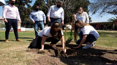Más de 40 localidades de la provincia plantaron árboles como cierre del Mes de la Juventud