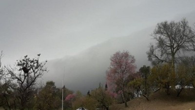Anuncian más de 30° y probables tormentas: hay alerta en una zona de Entre Ríos