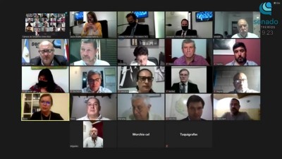 El Senado dio ingreso a la designación del presidente y vicepresidenta del Copnaf