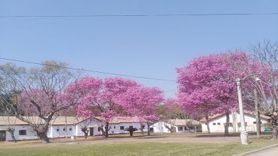 La vida dentro del Hospital Fidanza en época de pandemia 