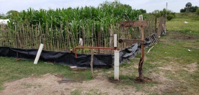 Con esfuerzo e ingenio, un adolescente creó un sistema de riego para su huerta