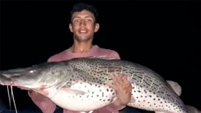 En aguas entrerrianas: joven pescó un surubí gigante de más de 40 kilos