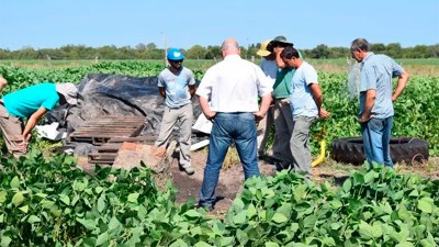 Un dato motivó nuevas excavaciones para hallar rastros de la familia Gill