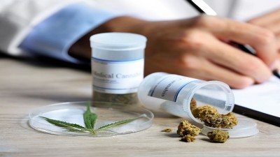 La Provincia trabaja en la investigación científica del uso medicinal de cannabis