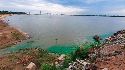 Cianobacterias en el río: efectos en salud, en peces y riesgo en tomas de agua