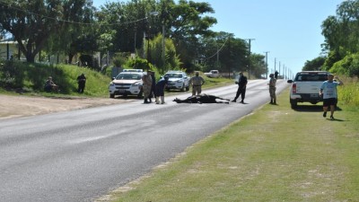 Atropellaron a un equino en Strobel