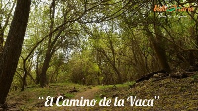 Este verano, no te pierdas de visitar El Camino de la Vaca