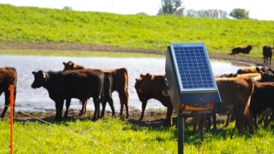 Se entregarán boyeros y bombas solares a productores rurales