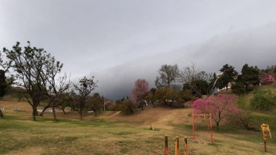 Alerta por tormentas en Entre Ríos: se esperan fuertes vientos y abundantes lluvias