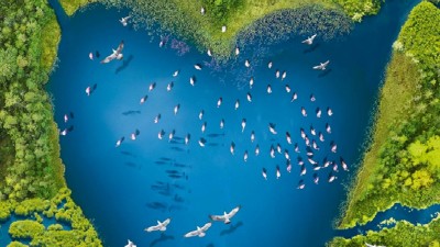 El Comité de Manejo del Sitio Ramsar Delta del Paraná avanzó en difusión y educación