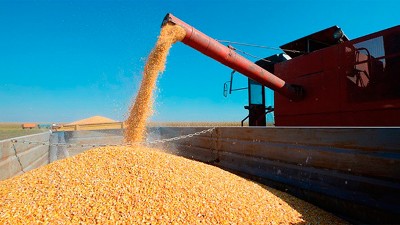 El Gobierno anunció la reapertura parcial de las exportaciones de maíz