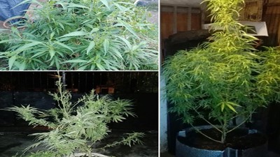 Durante un allanamiento por robo agredieron a Comisario y efectivos policiales