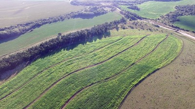 Se extiende hasta marzo el plazo para presentar proyectos de conservación de suelos y acceder a beneficios fiscales