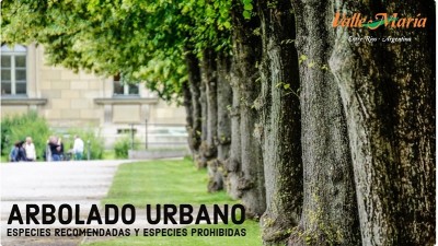 Arbolado urbano - Especies recomendadas y especies prohibidas