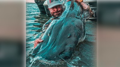 Pescaron un surubí de casi dos metros en el río Paraná