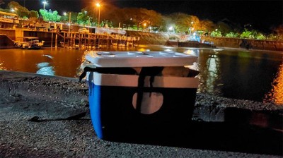 Se les hundió el catamarán y salvaron su vida flotando por horas en una conservadora