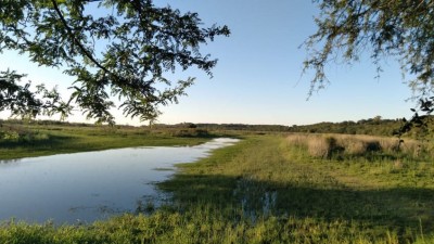 Día Mundial de los Humedales 