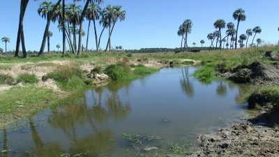 La provincia financiará proyectos con impacto local que beneficien el ambiente y la comunidad