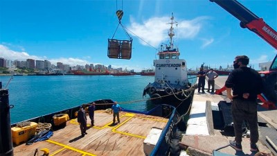 De no creer: robaron cerca de 800 litros de cerveza guardados en el océano
