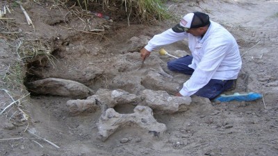 Retiran fósiles de más de 10.000 años de antigüedad del arroyo Espinillo