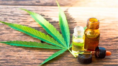 Proyectan que pymes entrerrianas puedan avanzar en la producción de cannabis