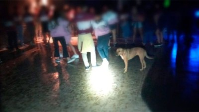 Identificaron a 200 personas que participaban en una fiesta clandestina