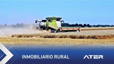 Comienza el vencimiento del pago anual o primer anticipo del impuesto inmobiliario rural 2021