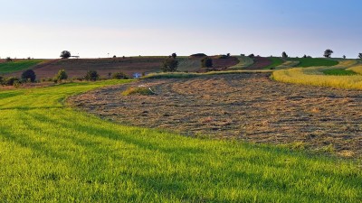 Incentivos fiscales a la conservación del recurso suelo