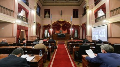 El Senado entrerriano convirtió en ley el Régimen de acceso seguro al cannabis medicinal