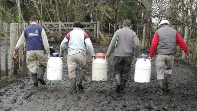 Créditos para el sector ganadero, tambero y apícola