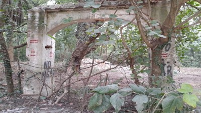 Adiós al mito: Derrumbaron la casa embrujada de Tezanos Pintos