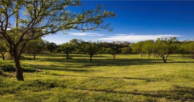 Intimaciones de desalojo en Pueblo Nuevo  Alvear y Aldea San Francisco