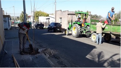 Plan de Reforestación Urbana,  primera etapa de plantación