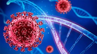 Covid 19: Se registraron casos de la variante Andina en Entre Ríos